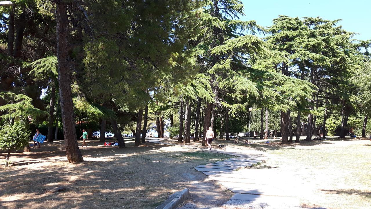 איזולה Apartment Laguna 08A מראה חיצוני תמונה